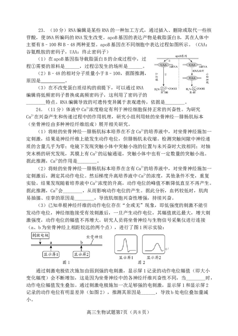 山东省日照市2021级高三上学期期中校际联合考试生物试题(1)_2023年11月_0211月合集_2024届山东省日照市高三上学期期中考试_山东省日照市2024届高三上学期期中考试生物