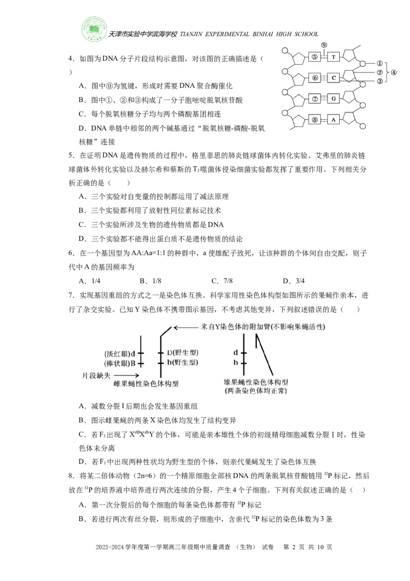 高三期中生物试卷(1)_2023年11月_0211月合集_2024届天津市实验中学滨海学校高三上学期期中质量调查考试_天津市实验中学滨海学校2024届高三上学期期中质量调查考试生物