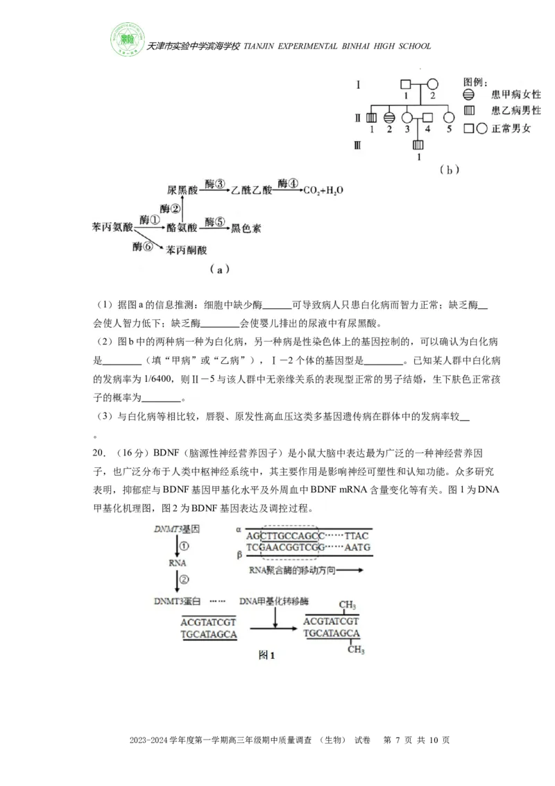 高三期中生物试卷(1)_2023年11月_0211月合集_2024届天津市实验中学滨海学校高三上学期期中质量调查考试_天津市实验中学滨海学校2024届高三上学期期中质量调查考试生物