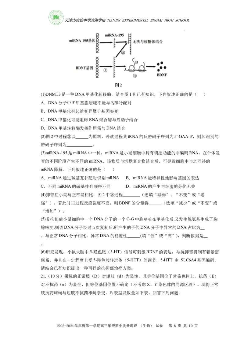 高三期中生物试卷(1)_2023年11月_0211月合集_2024届天津市实验中学滨海学校高三上学期期中质量调查考试_天津市实验中学滨海学校2024届高三上学期期中质量调查考试生物