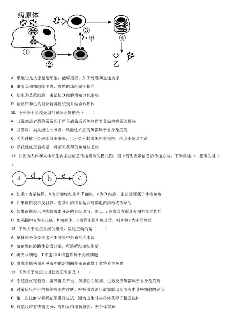 吉林省通化市梅河口市第五中学2025-2026学年高二上学期12月月考生物试题（含答案）_251221吉林省梅河口市第五中学2025-2026学年高二上学期12月月考（全）