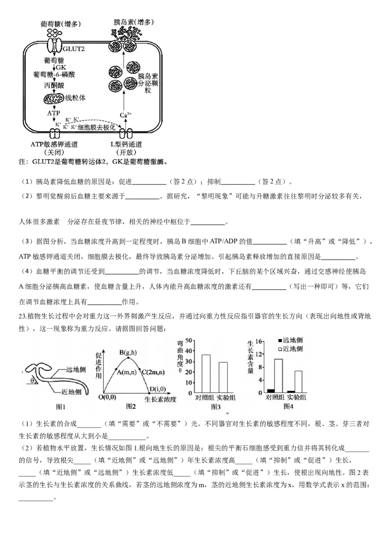 吉林省通化市梅河口市第五中学2025-2026学年高二上学期12月月考生物试题（含答案）_251221吉林省梅河口市第五中学2025-2026学年高二上学期12月月考（全）