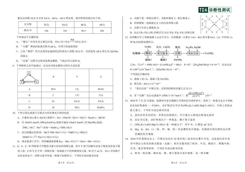 中学生标准学术能力诊断性测试2024-2025学年高三上学期12月月考试题化学PDF版含答案_2024-2025高三（6-6月题库）_2024年12月试卷