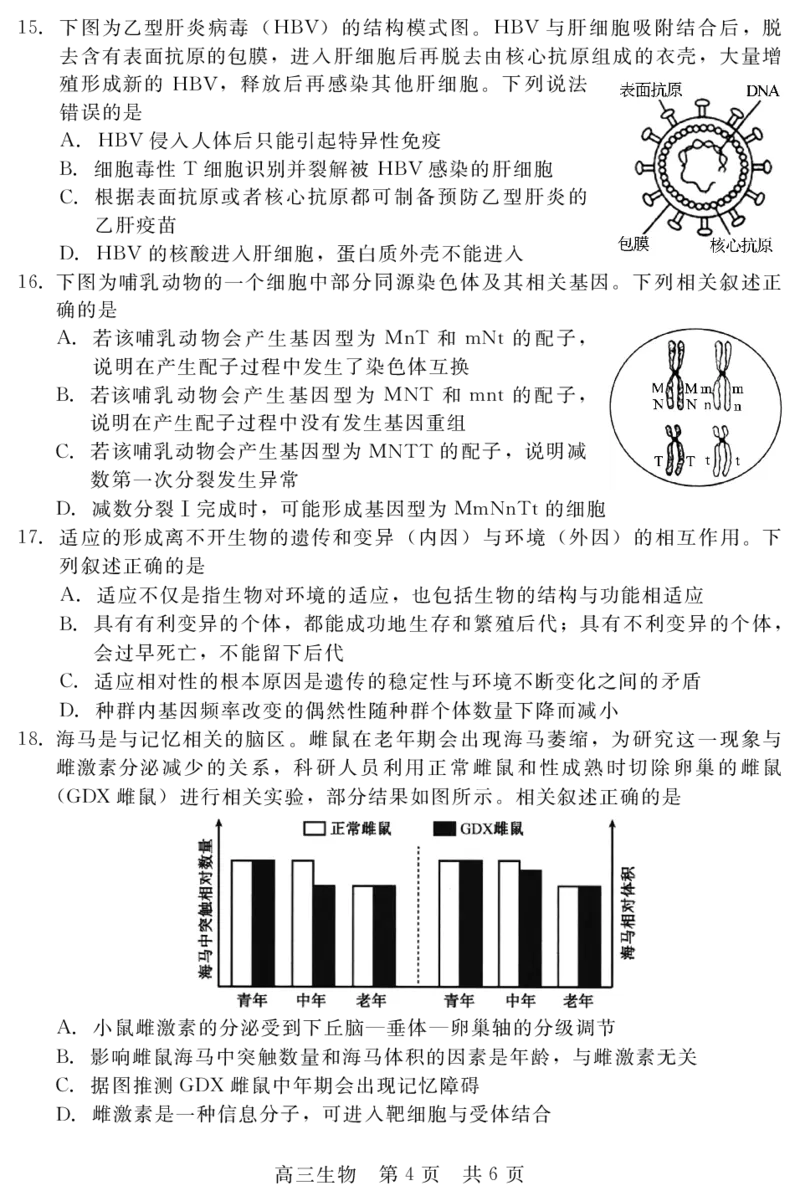 河北省新时代NT教育2024-2025学年第一学期12月高三阶段测试生物试卷+答案_2024-2025高三（6-6月题库）_2024年12月试卷_1215河北省新时代NT教育2024-2025学年第一学期12月高三阶段测试