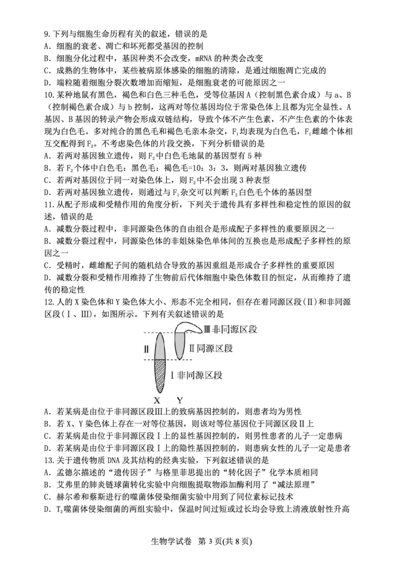 辽宁省丹东市2023-2024学年高三上学期11月阶段测试生物(1)_2023年11月_0211月合集_2024届辽宁省丹东市高三上学期11月阶段测试_辽宁省丹东市2024届高三上学期11月阶段测试生物