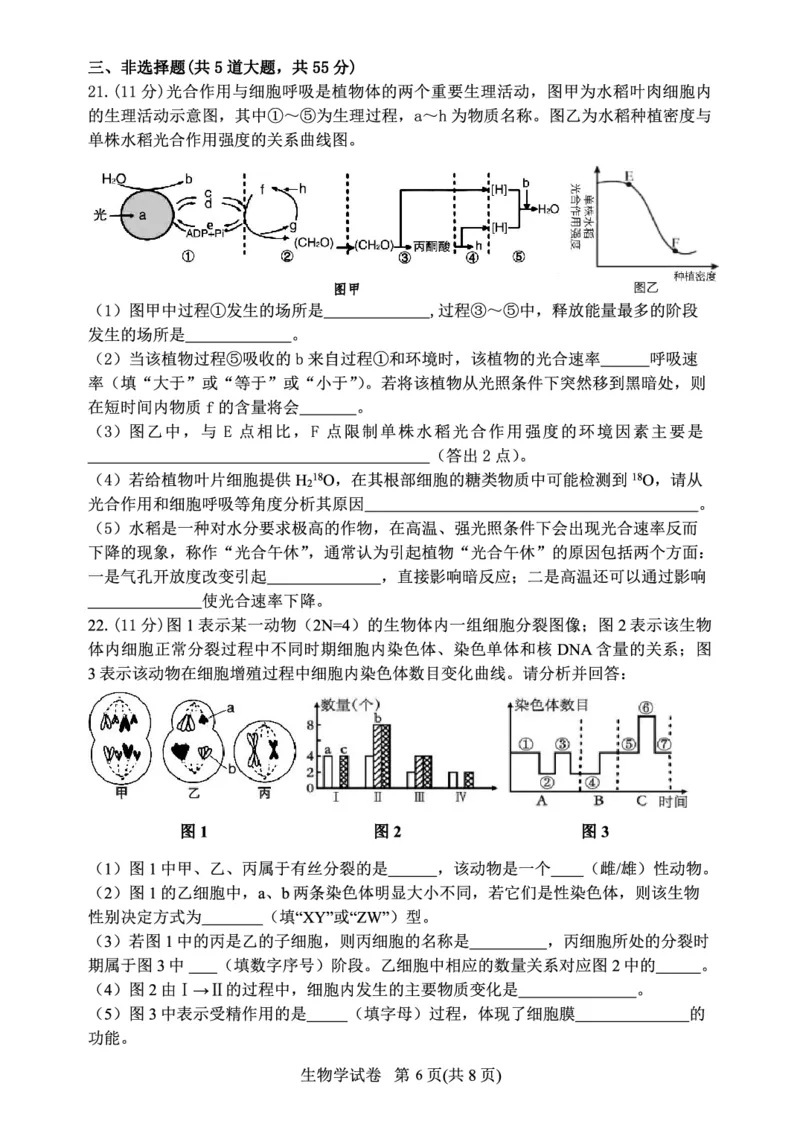 辽宁省丹东市2023-2024学年高三上学期11月阶段测试生物(1)_2023年11月_0211月合集_2024届辽宁省丹东市高三上学期11月阶段测试_辽宁省丹东市2024届高三上学期11月阶段测试生物