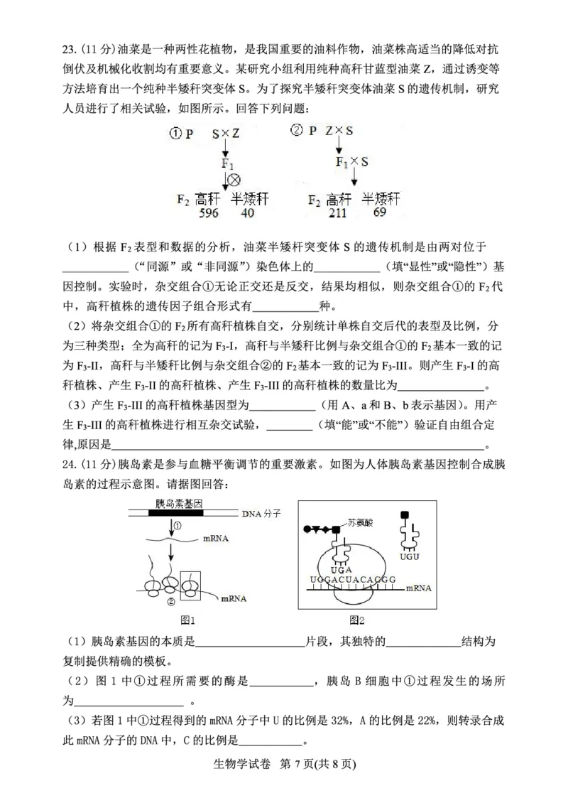 辽宁省丹东市2023-2024学年高三上学期11月阶段测试生物(1)_2023年11月_0211月合集_2024届辽宁省丹东市高三上学期11月阶段测试_辽宁省丹东市2024届高三上学期11月阶段测试生物