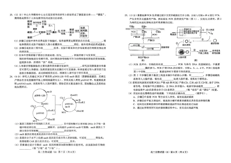 山东省菏泽市2024-2025学年高二下学期4月期中考试生物（B）PDF版含答案_2024-2025高二（7-7月题库）_2025年05月试卷_0518山东省菏泽市2024-2025学年高二下学期4月期中考试