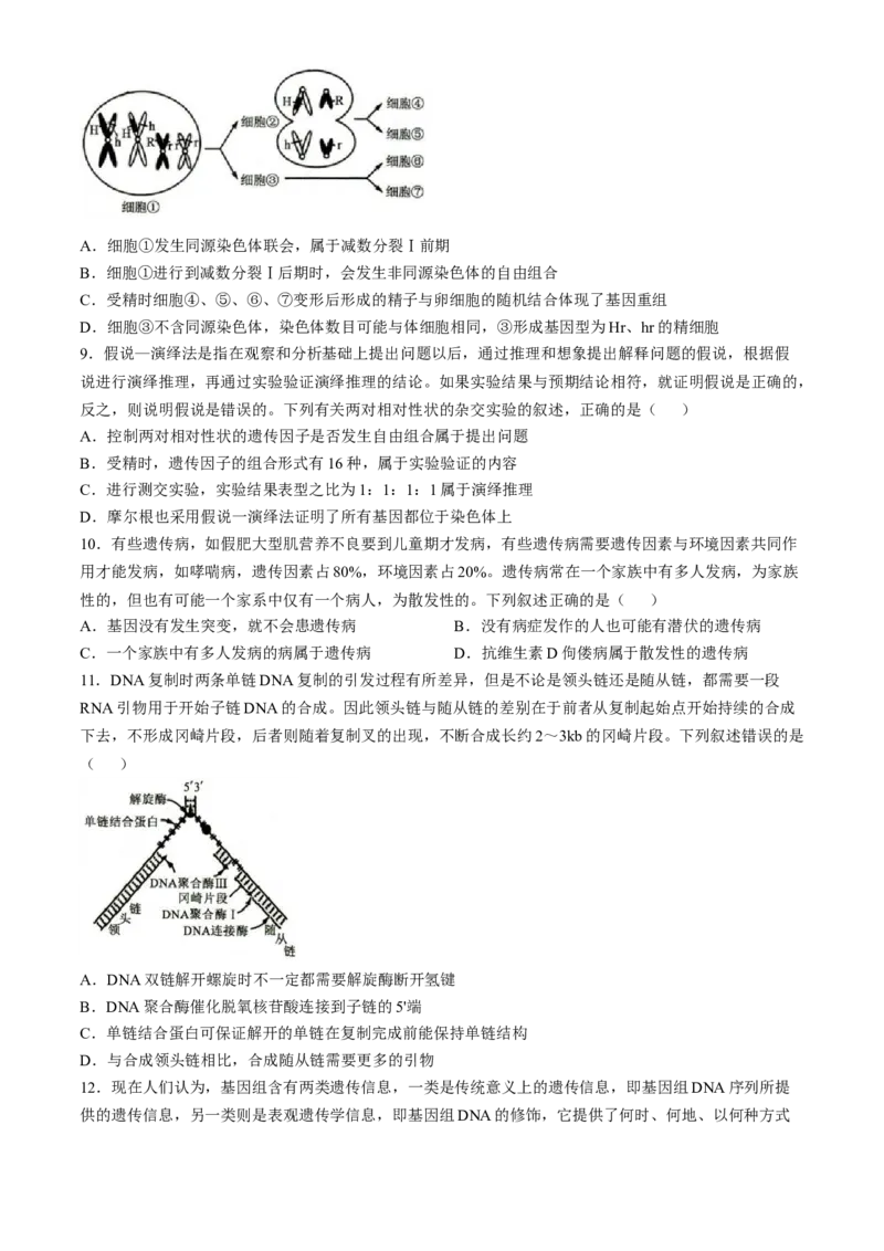 山东省菏泽市2024-2025学年高三上学期期中考试生物含解析_2024-2025高三（6-6月题库）_2024年10月试卷_1031山东省菏泽市2024-2025学年高三上学期期中考试