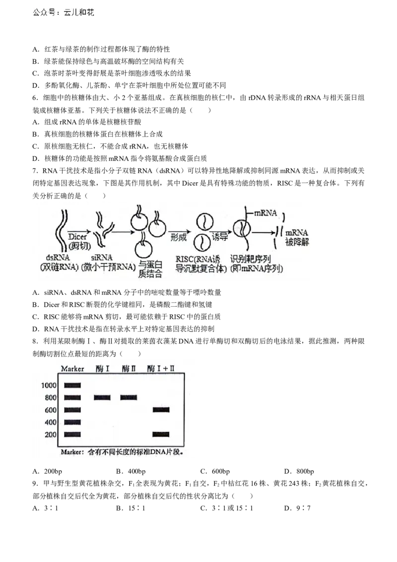 湖北省武汉市江岸区2023-2024学年高二下学期7月期末生物试题Word版含答案_2024-2025高二（7-7月题库）_2024年07月试卷_0703湖北省武汉市江岸区2023-2024学年高二下学期7月期末