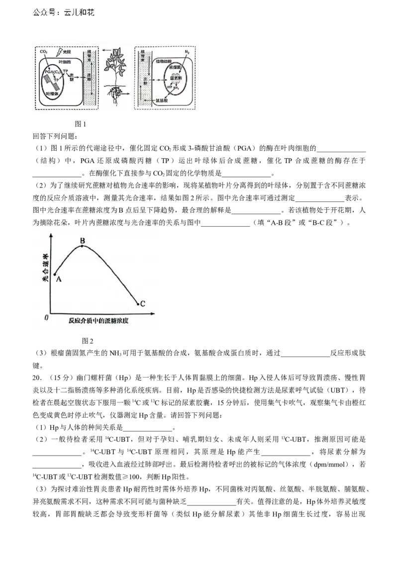 湖北省武汉市江岸区2023-2024学年高二下学期7月期末生物试题Word版含答案_2024-2025高二（7-7月题库）_2024年07月试卷_0703湖北省武汉市江岸区2023-2024学年高二下学期7月期末
