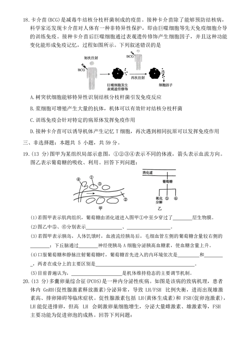 河南省普通高中2024~2025学年高二上学期期中考试生物试题_2024-2025高二（7-7月题库）_2024年11月试卷_1124青桐鸣河南省普通高中2024-2025学年高二上学期期中