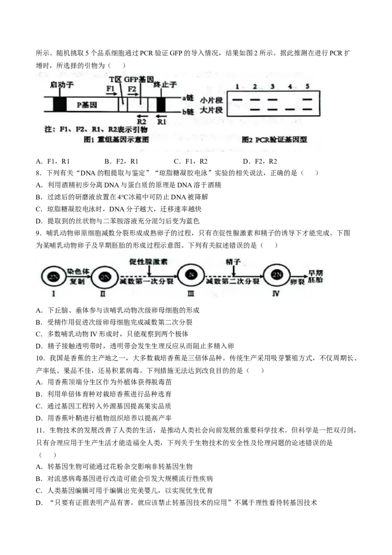 天津市部分区2024-2025学年高二下学期期中练习生物Word版含答案_2024-2025高二（7-7月题库）_2025年6月试卷_0603天津市部分区2024-2025学年高二下学期期中练习
