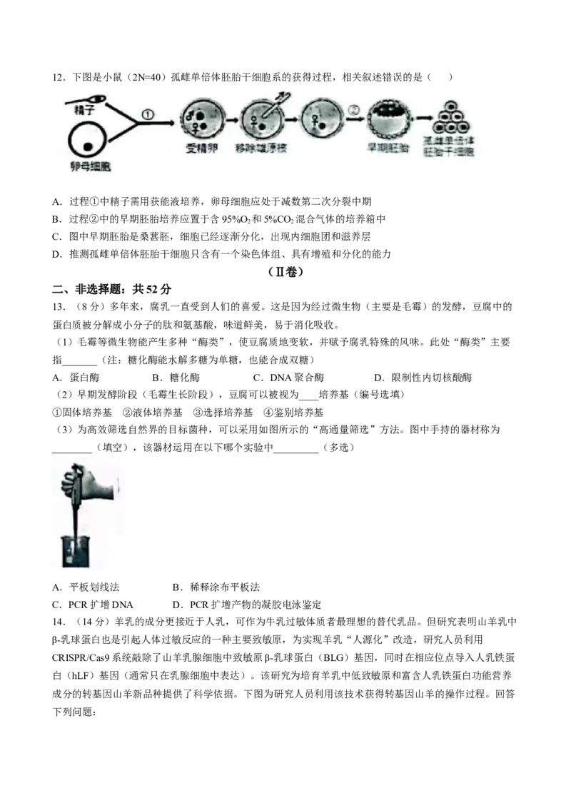 天津市部分区2024-2025学年高二下学期期中练习生物Word版含答案_2024-2025高二（7-7月题库）_2025年6月试卷_0603天津市部分区2024-2025学年高二下学期期中练习
