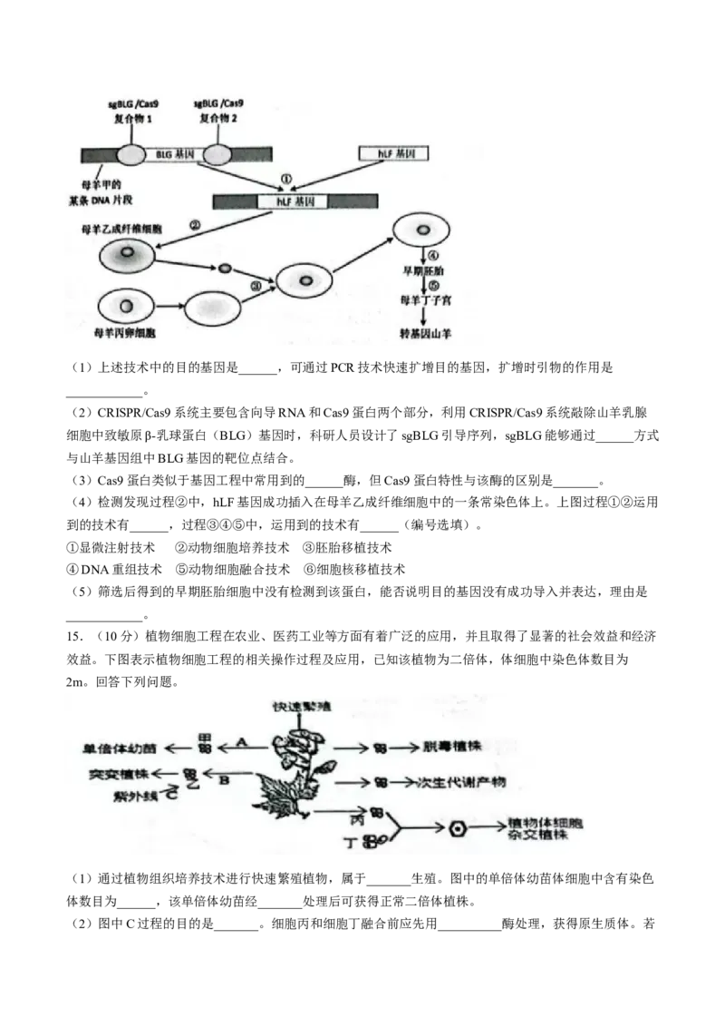 天津市部分区2024-2025学年高二下学期期中练习生物Word版含答案_2024-2025高二（7-7月题库）_2025年6月试卷_0603天津市部分区2024-2025学年高二下学期期中练习