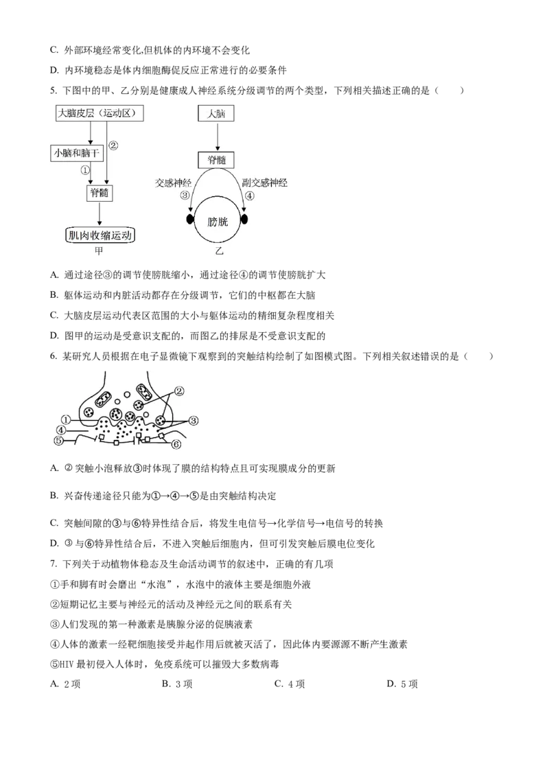 湖北省黄冈市黄梅县第一中学2025-2026学年高二上学期12月月考生物试题（原卷版）_2024-2025高二（7-7月题库）_2026年1月高二