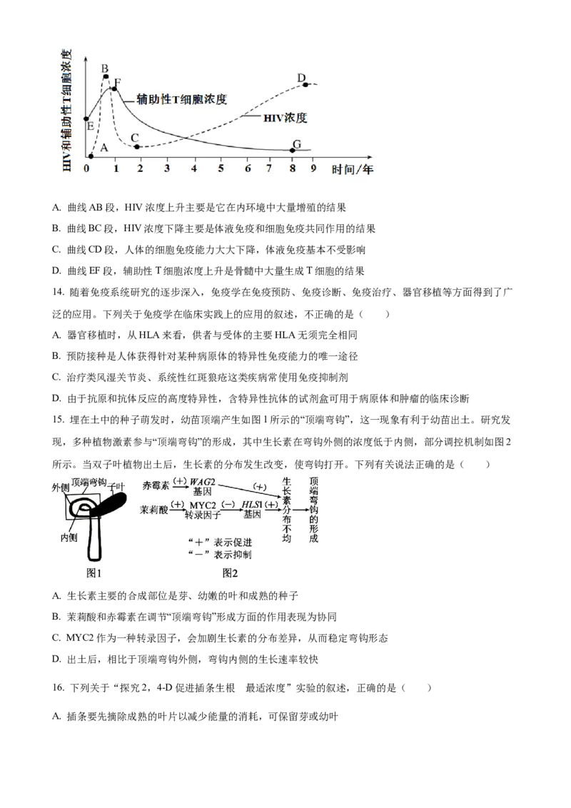 湖北省黄冈市黄梅县第一中学2025-2026学年高二上学期12月月考生物试题（原卷版）_2024-2025高二（7-7月题库）_2026年1月高二