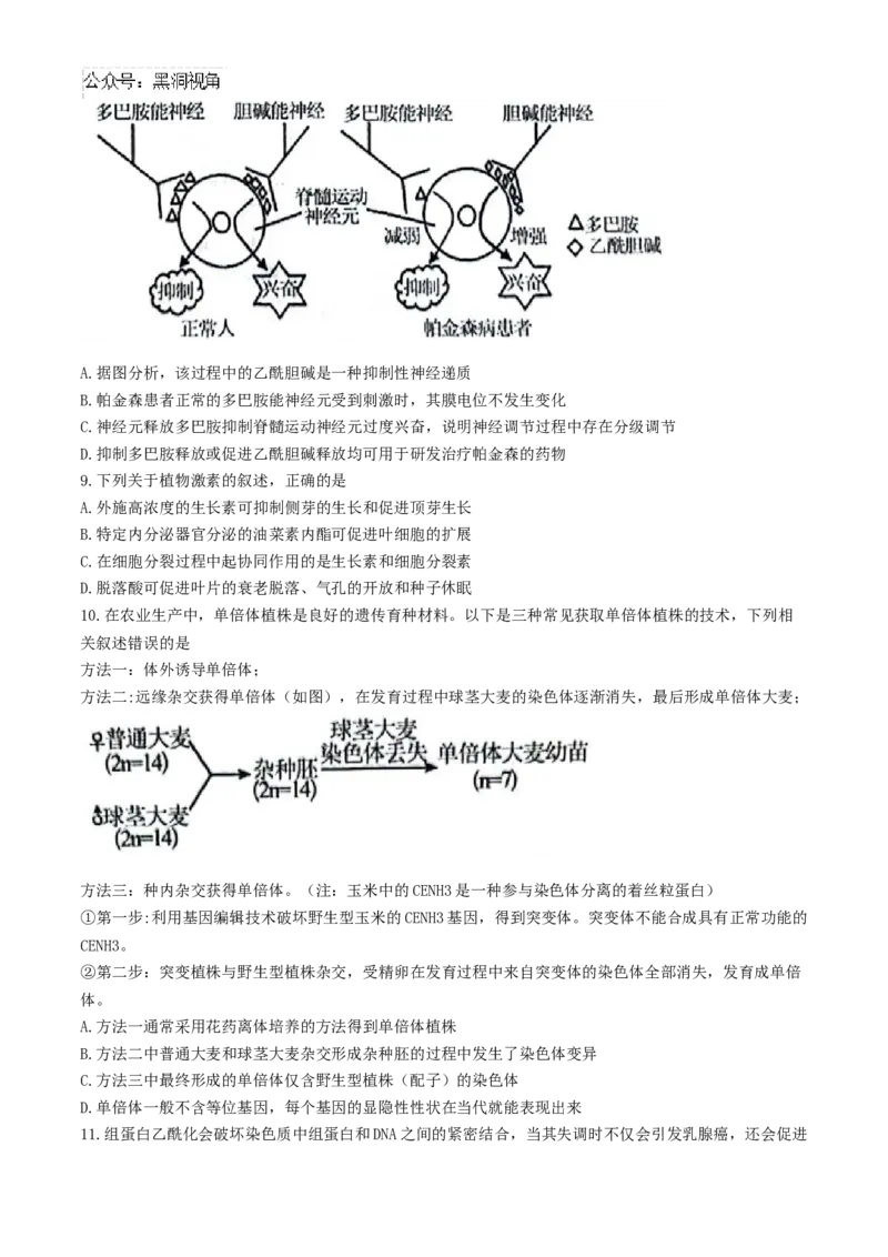 安徽省县中联盟2024-2025学年高三上学期9月开学联考生物试题_2024-2025高三（6-6月题库）_2024年09月试卷_0909安徽省县中联盟2024-2025学年2025届高三9月联考（5009C）