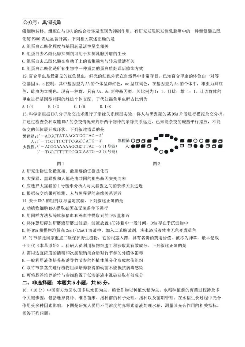 安徽省县中联盟2024-2025学年高三上学期9月开学联考生物试题_2024-2025高三（6-6月题库）_2024年09月试卷_0909安徽省县中联盟2024-2025学年2025届高三9月联考（5009C）