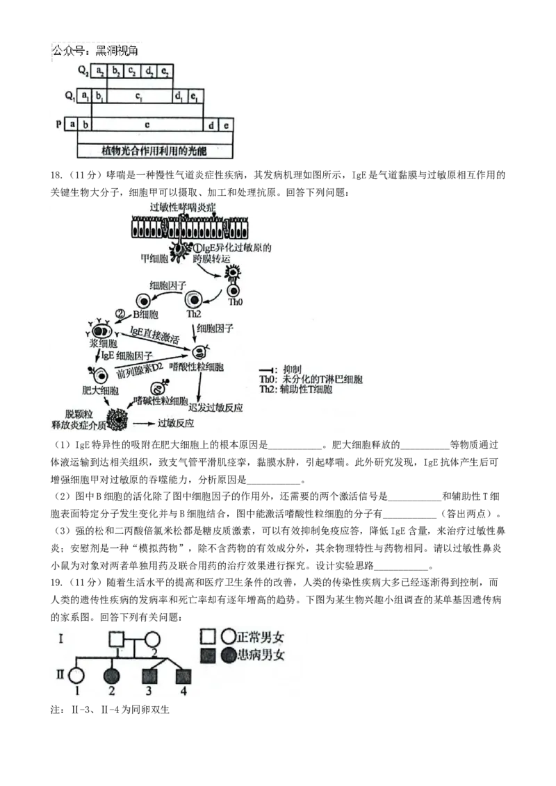 安徽省县中联盟2024-2025学年高三上学期9月开学联考生物试题_2024-2025高三（6-6月题库）_2024年09月试卷_0909安徽省县中联盟2024-2025学年2025届高三9月联考（5009C）