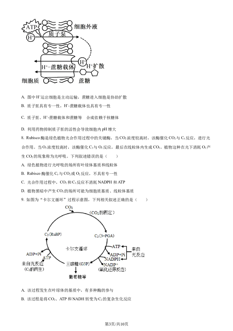 精品解析：辽宁省沈阳市二中2023-2024学年高三10月阶段测试生物试题（原卷版）(1)_2023年11月_0211月合集_2024届辽宁省沈阳市第二中学高三上学期10月阶段测试