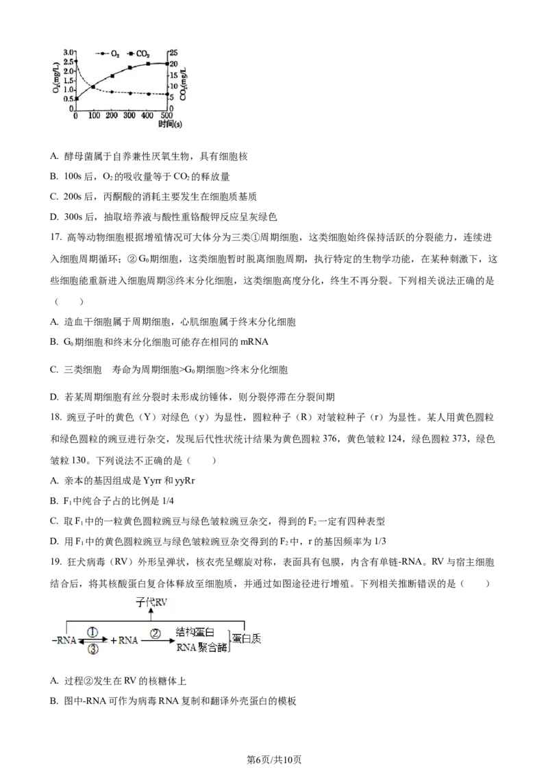 精品解析：辽宁省沈阳市二中2023-2024学年高三10月阶段测试生物试题（原卷版）(1)_2023年11月_0211月合集_2024届辽宁省沈阳市第二中学高三上学期10月阶段测试