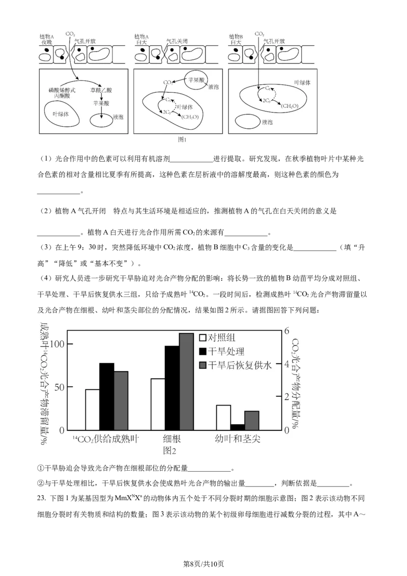 精品解析：辽宁省沈阳市二中2023-2024学年高三10月阶段测试生物试题（原卷版）(1)_2023年11月_0211月合集_2024届辽宁省沈阳市第二中学高三上学期10月阶段测试