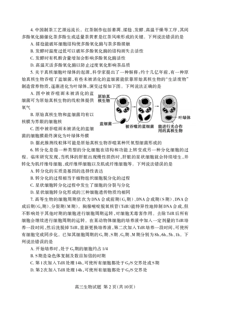 （教研室提供）山东省泰安市2023-2024学年高三上学期期中考试生物试题(1)_2023年11月_0211月合集_2024届山东省泰安市高三上学期期中考试_山东省泰安市2024届高三上学期期中考试生物