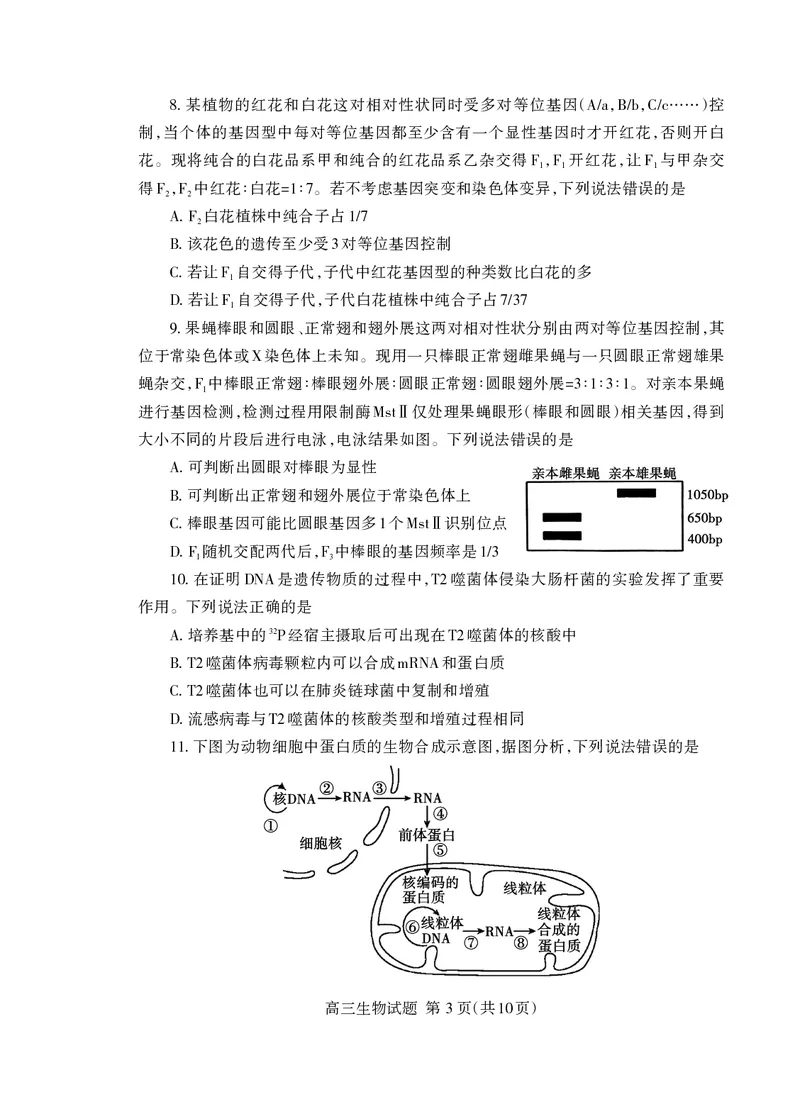 （教研室提供）山东省泰安市2023-2024学年高三上学期期中考试生物试题(1)_2023年11月_0211月合集_2024届山东省泰安市高三上学期期中考试_山东省泰安市2024届高三上学期期中考试生物