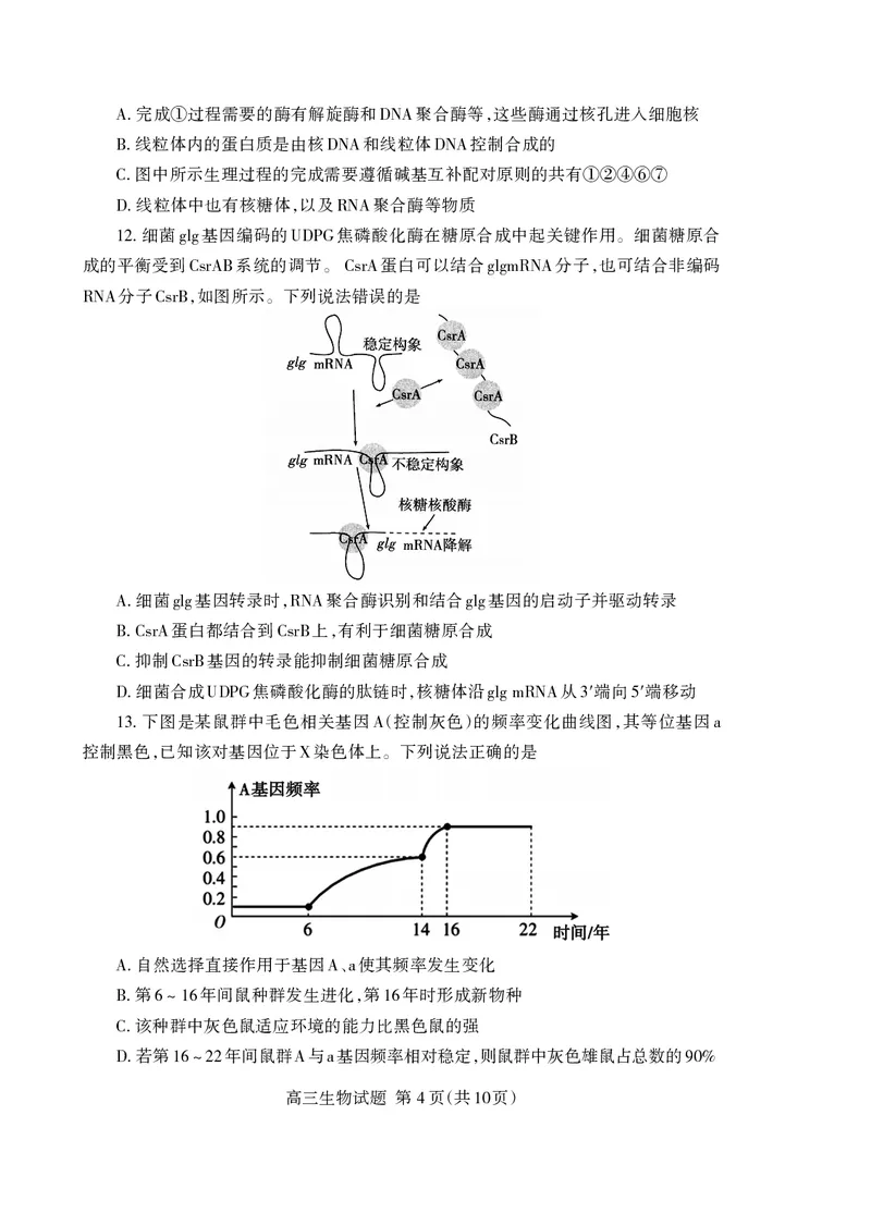 （教研室提供）山东省泰安市2023-2024学年高三上学期期中考试生物试题(1)_2023年11月_0211月合集_2024届山东省泰安市高三上学期期中考试_山东省泰安市2024届高三上学期期中考试生物