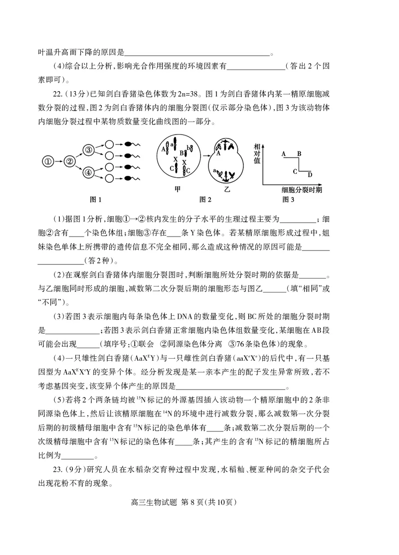 （教研室提供）山东省泰安市2023-2024学年高三上学期期中考试生物试题(1)_2023年11月_0211月合集_2024届山东省泰安市高三上学期期中考试_山东省泰安市2024届高三上学期期中考试生物
