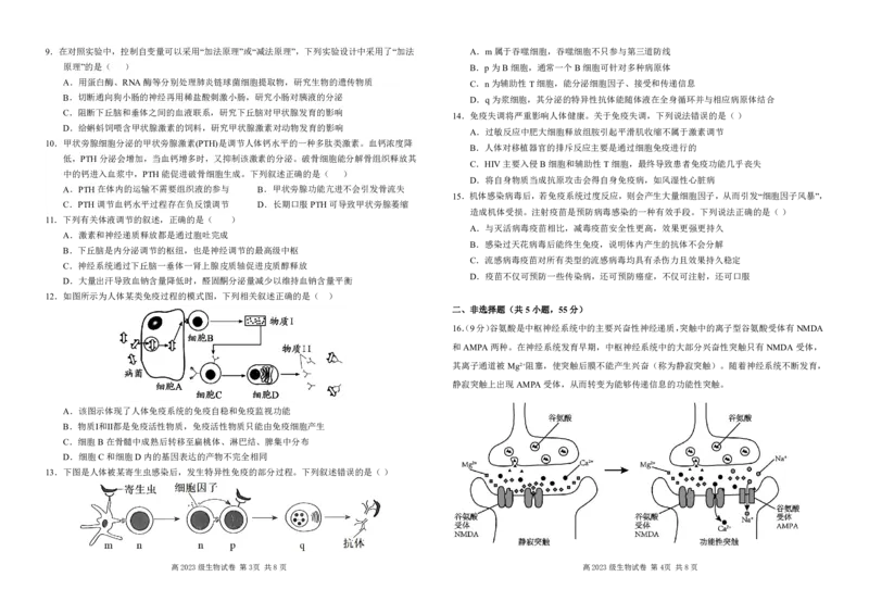 四川省南充高级中学2024-2025高二上学期期中考试生物试题_2024-2025高二（7-7月题库）_2024年11月试卷_1128四川省南充高级中学2024-2025学年高二上学期期中考试