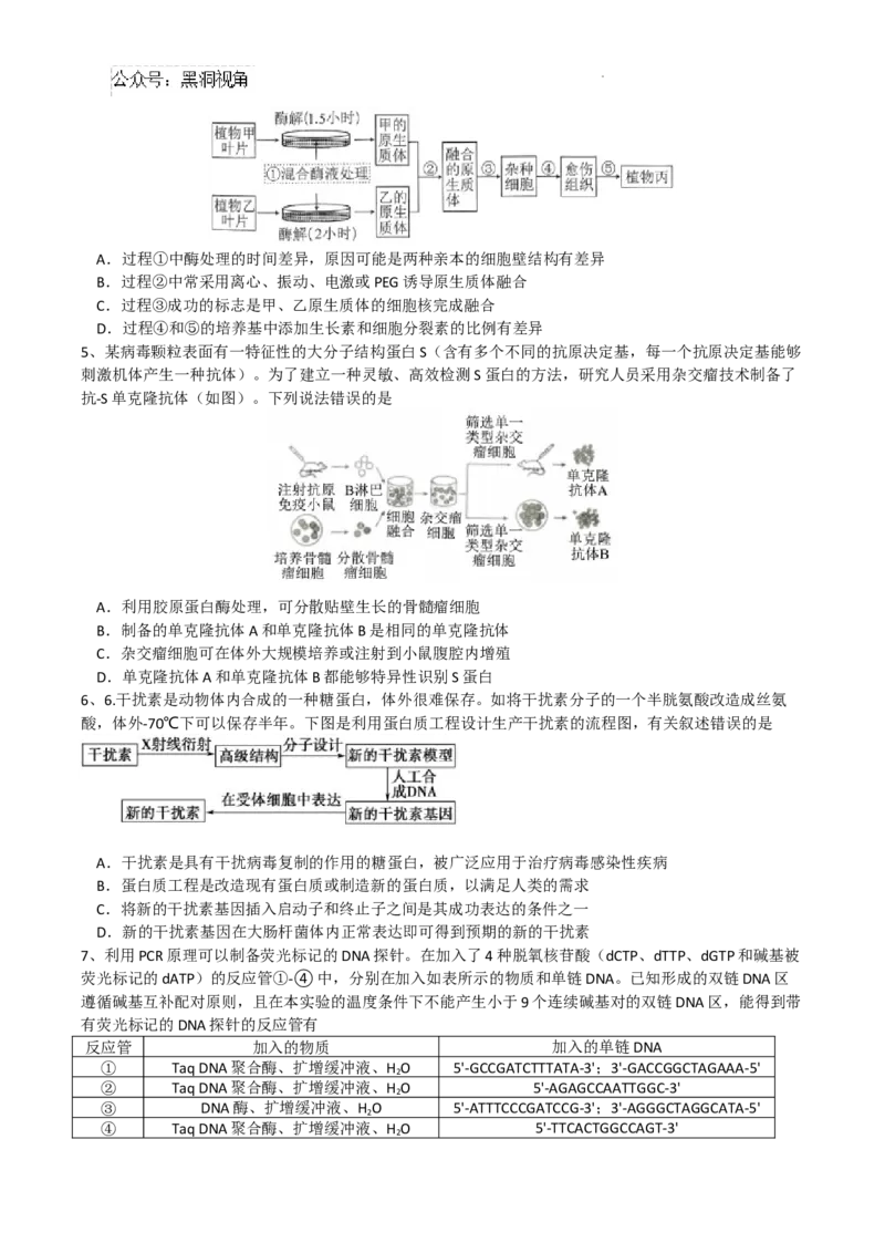 成都石室中学2024-2025学年度上期高2025届定时练习-生物试题_2024-2025高三（6-6月题库）_2024年09月试卷_0902四川省成都市石室中学2024-2025学年高三上学期入学考