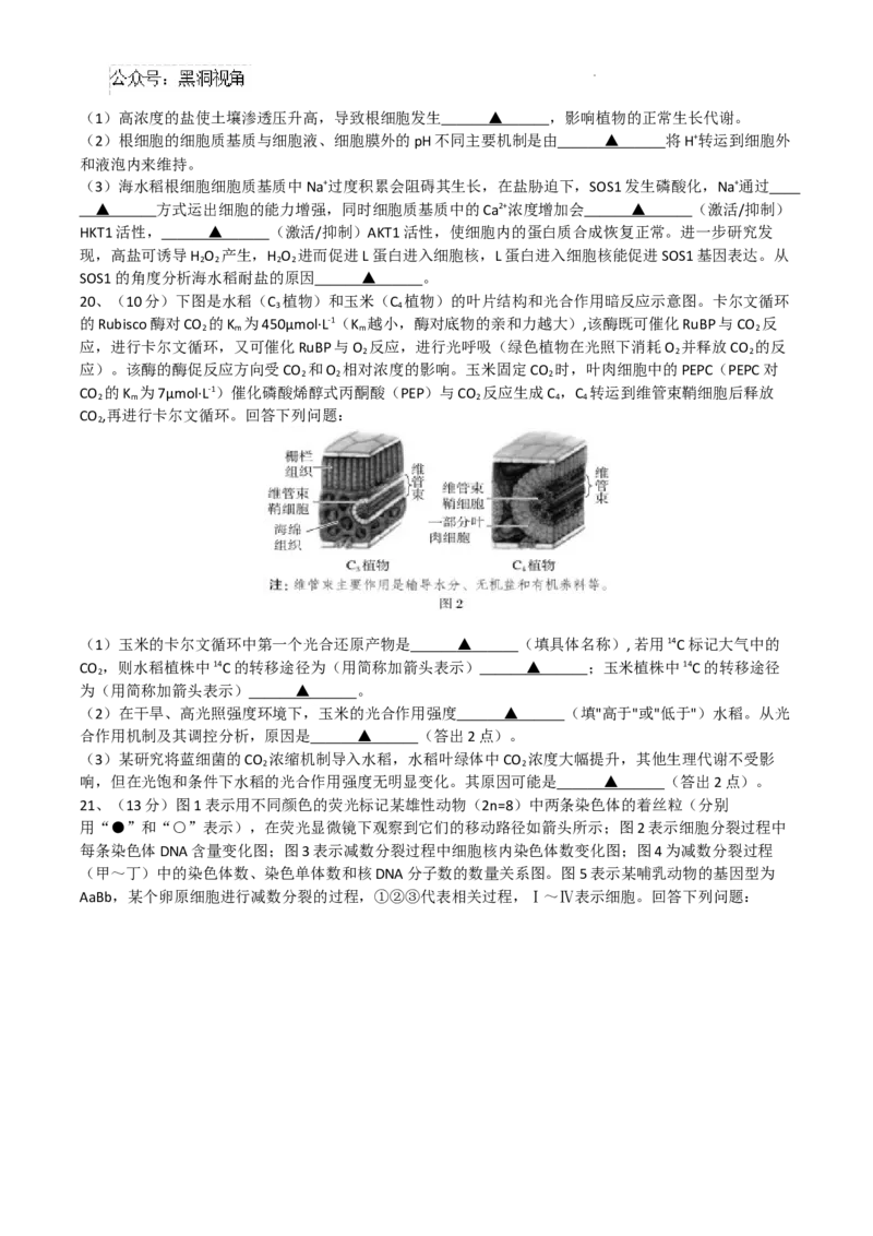 成都石室中学2024-2025学年度上期高2025届定时练习-生物试题_2024-2025高三（6-6月题库）_2024年09月试卷_0902四川省成都市石室中学2024-2025学年高三上学期入学考