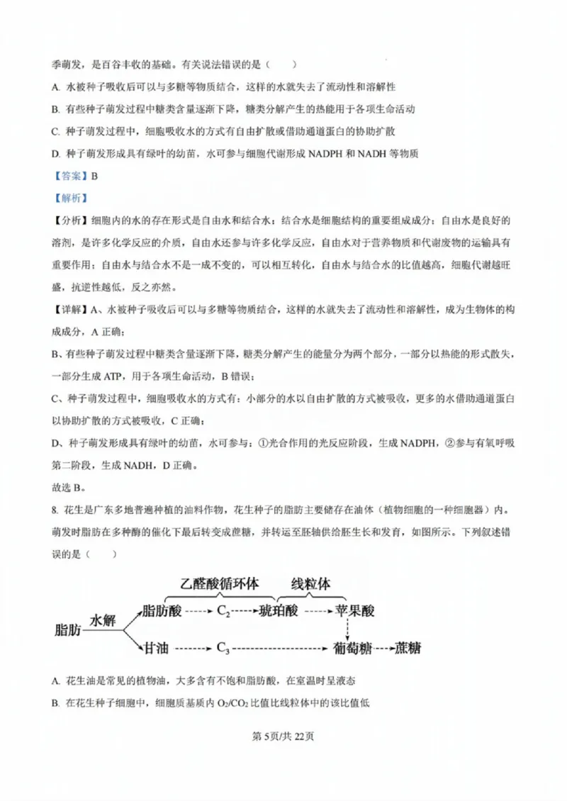 广东省佛山市2024学年顺德区普通高中高三教学质量检测（一）生物试卷+参考答案_2024-2025高三（6-6月题库）_2024年11月试卷