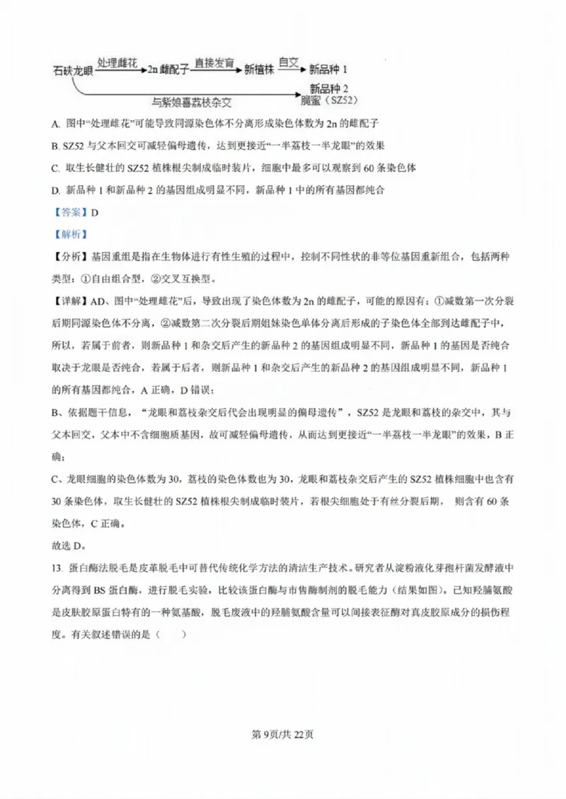 广东省佛山市2024学年顺德区普通高中高三教学质量检测（一）生物试卷+参考答案_2024-2025高三（6-6月题库）_2024年11月试卷