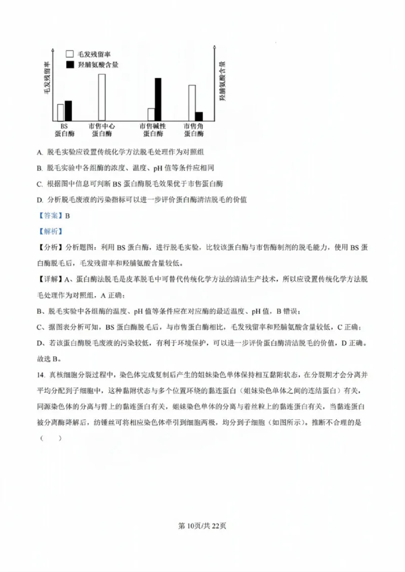 广东省佛山市2024学年顺德区普通高中高三教学质量检测（一）生物试卷+参考答案_2024-2025高三（6-6月题库）_2024年11月试卷