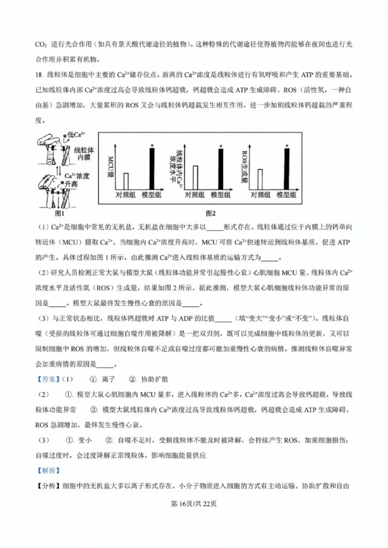 广东省佛山市2024学年顺德区普通高中高三教学质量检测（一）生物试卷+参考答案_2024-2025高三（6-6月题库）_2024年11月试卷