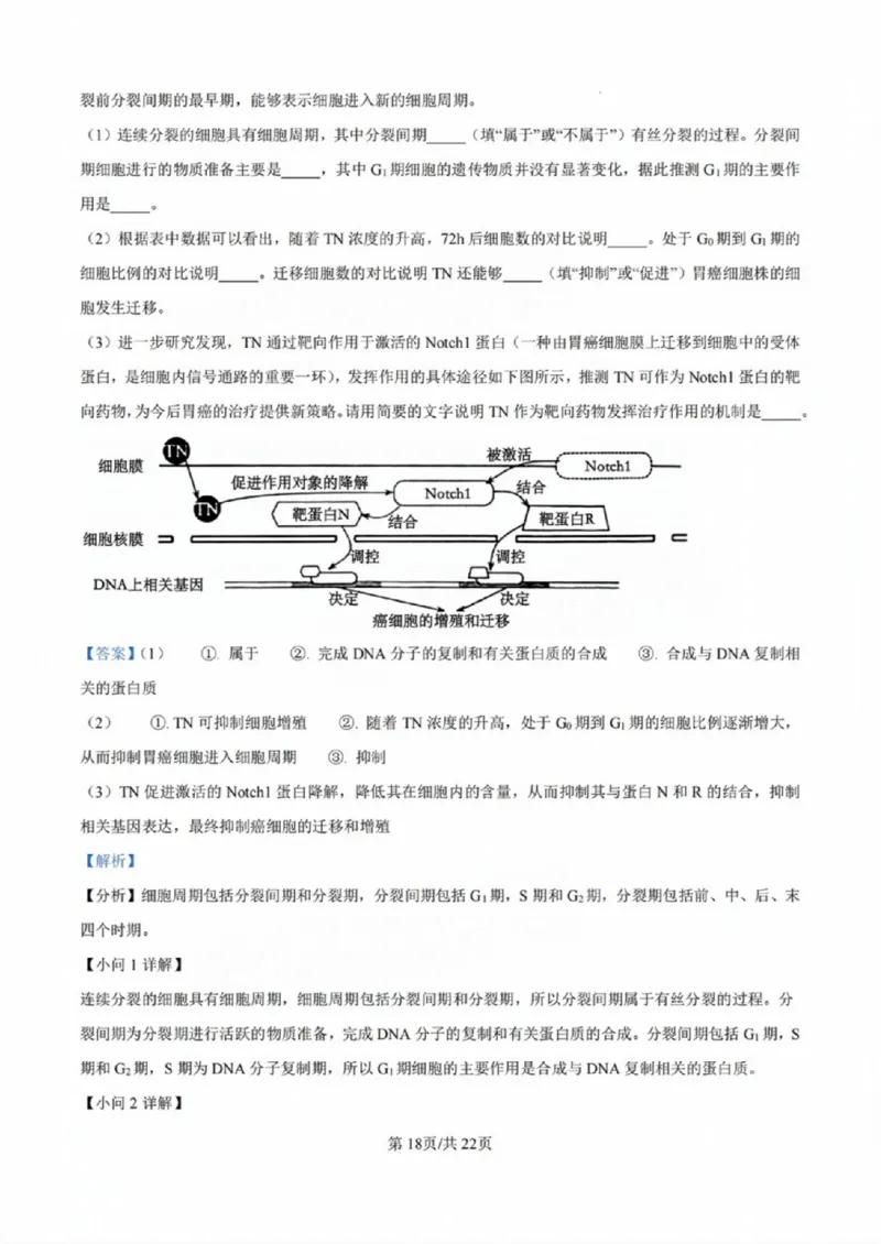 广东省佛山市2024学年顺德区普通高中高三教学质量检测（一）生物试卷+参考答案_2024-2025高三（6-6月题库）_2024年11月试卷