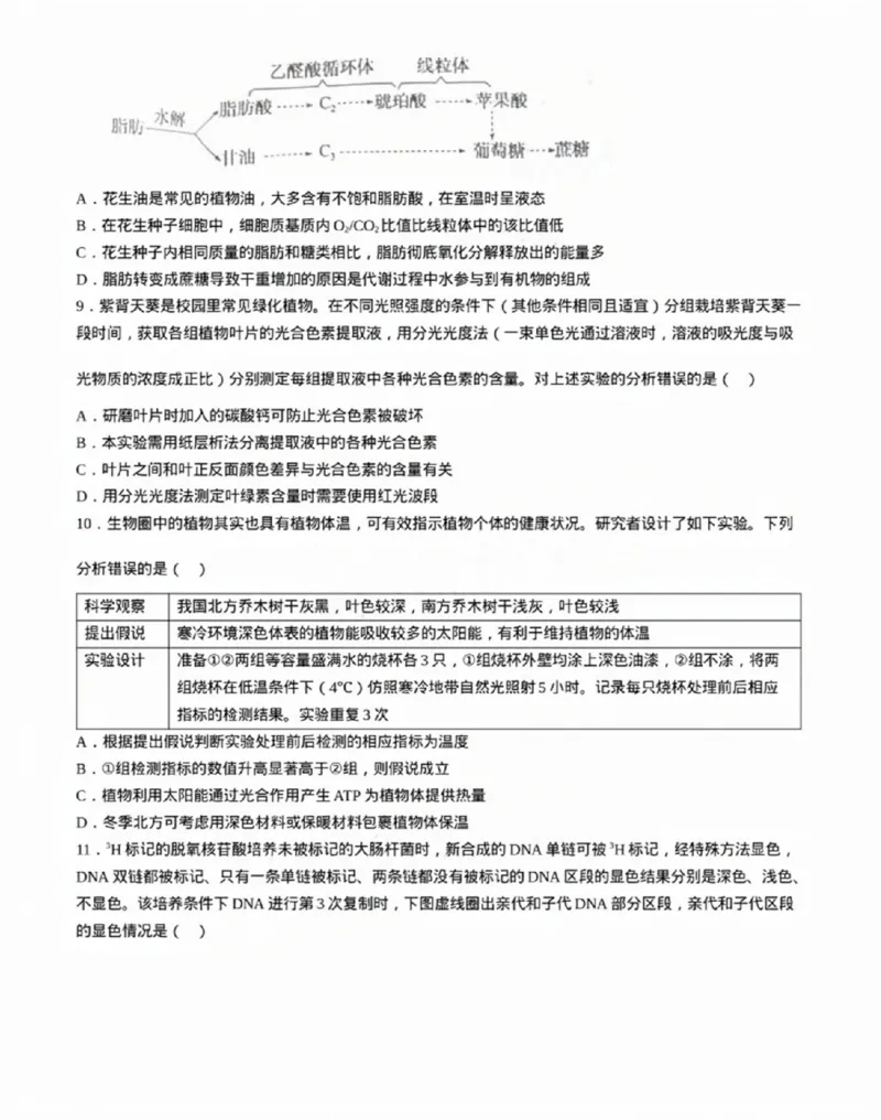 广东省佛山市2024学年顺德区普通高中高三教学质量检测（一）生物试卷+参考答案_2024-2025高三（6-6月题库）_2024年11月试卷