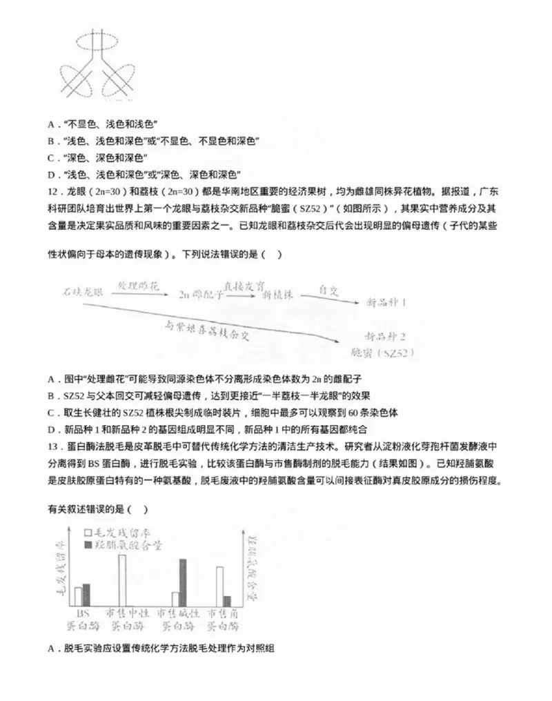 广东省佛山市2024学年顺德区普通高中高三教学质量检测（一）生物试卷+参考答案_2024-2025高三（6-6月题库）_2024年11月试卷