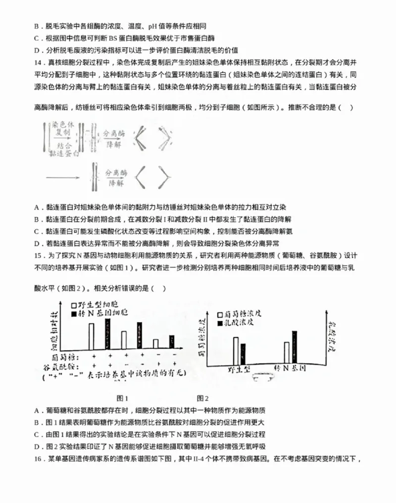 广东省佛山市2024学年顺德区普通高中高三教学质量检测（一）生物试卷+参考答案_2024-2025高三（6-6月题库）_2024年11月试卷