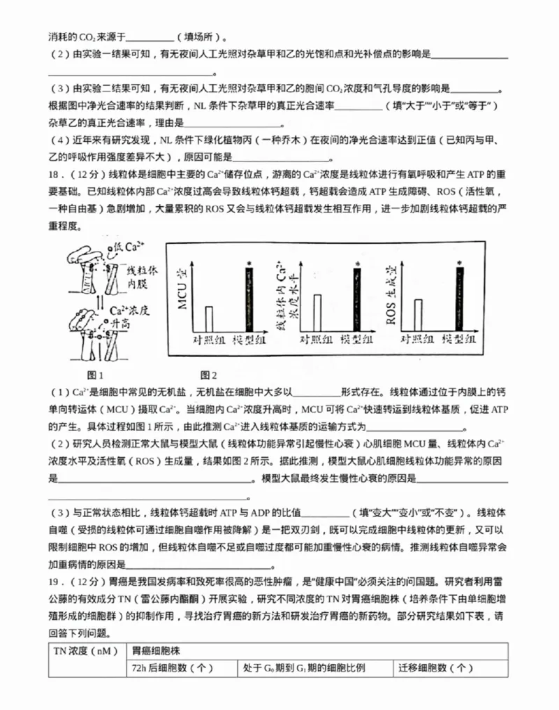 广东省佛山市2024学年顺德区普通高中高三教学质量检测（一）生物试卷+参考答案_2024-2025高三（6-6月题库）_2024年11月试卷