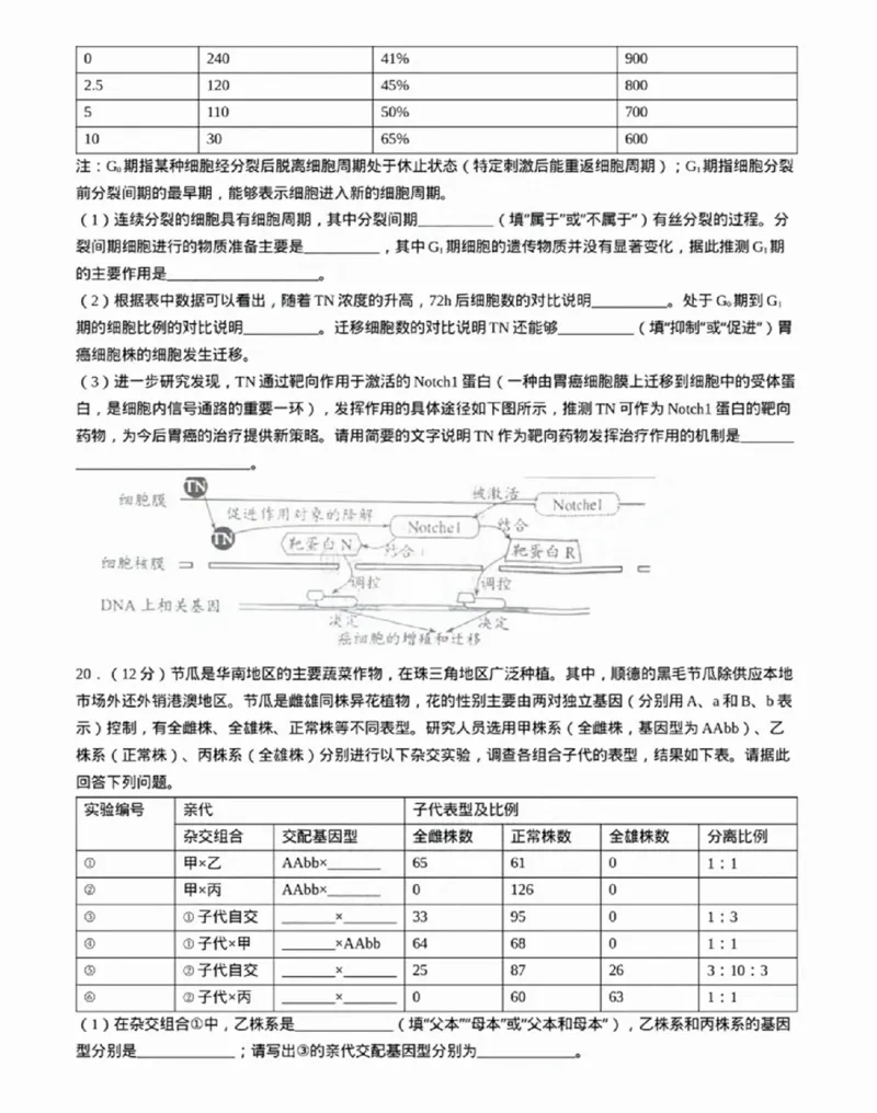 广东省佛山市2024学年顺德区普通高中高三教学质量检测（一）生物试卷+参考答案_2024-2025高三（6-6月题库）_2024年11月试卷