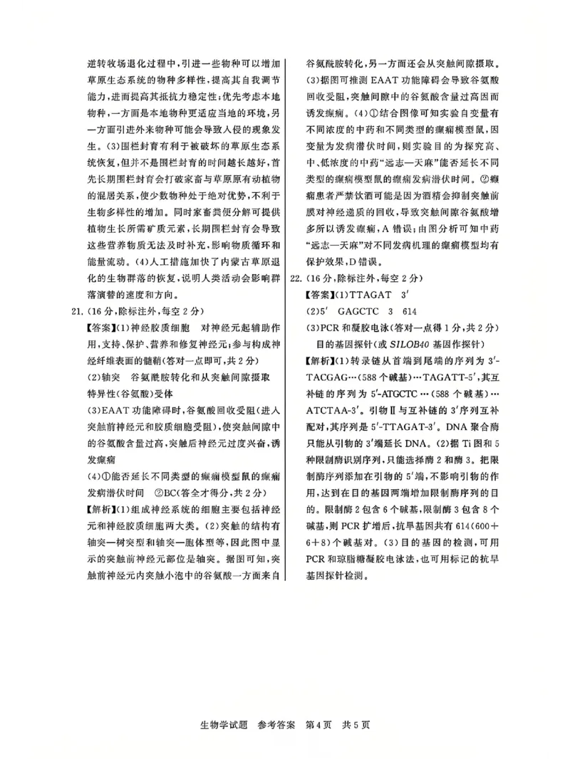 T8联考2025届高三12月生物答案_2024-2025高三（6-6月题库）_2024年12月试卷_12142025届全国T8（八省八校）高三12月联合测评_生物