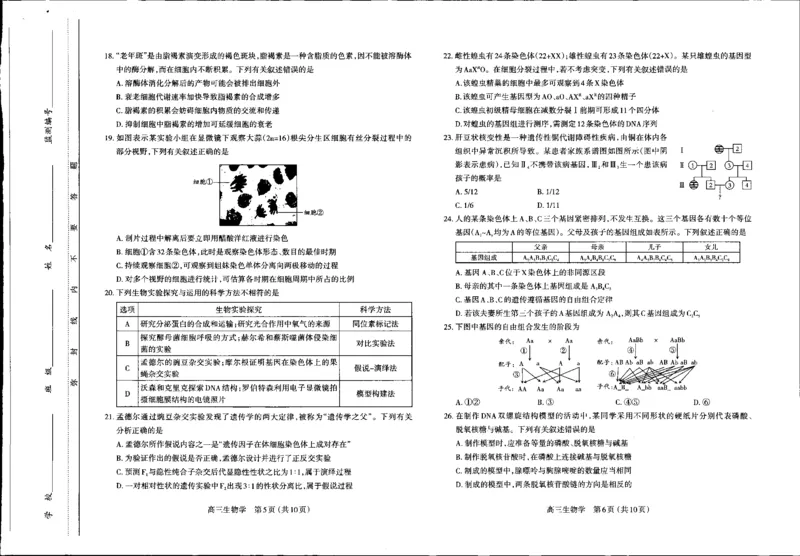 生物高三期中考试级真题-试卷(1)_2023年11月_0211月合集_2024届山西省太原市高三上学期期中学业诊断_山西省太原市2024届高三上学期期中学业诊断生物