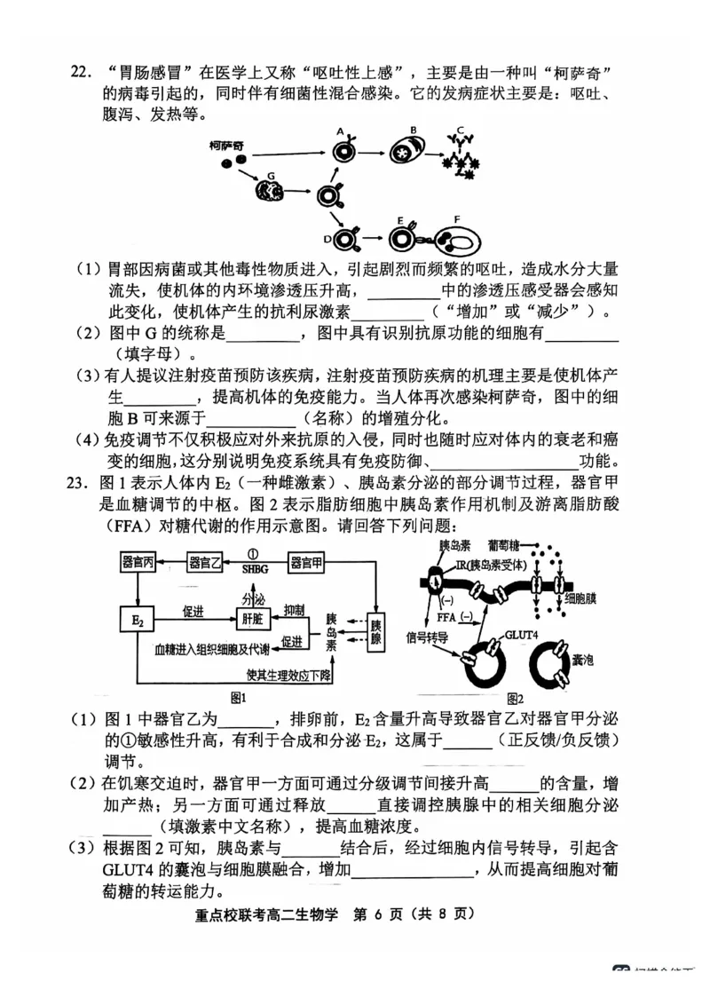 天津市五区县重点校联考2024-2025学年高二上学期11月期中生物试题PDF版含答案_2024-2025高二（7-7月题库）_2024年11月试卷_1125天津市五区县重点校联考2024-2025学年高二上学期11月期中考试
