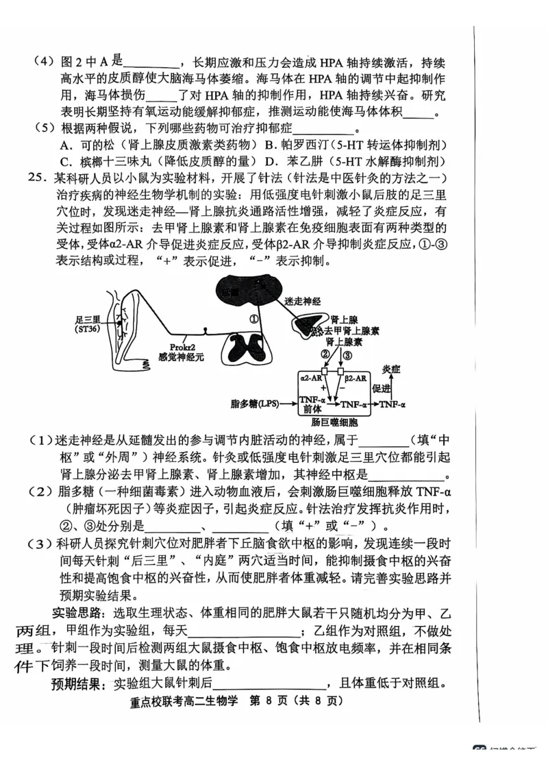 天津市五区县重点校联考2024-2025学年高二上学期11月期中生物试题PDF版含答案_2024-2025高二（7-7月题库）_2024年11月试卷_1125天津市五区县重点校联考2024-2025学年高二上学期11月期中考试