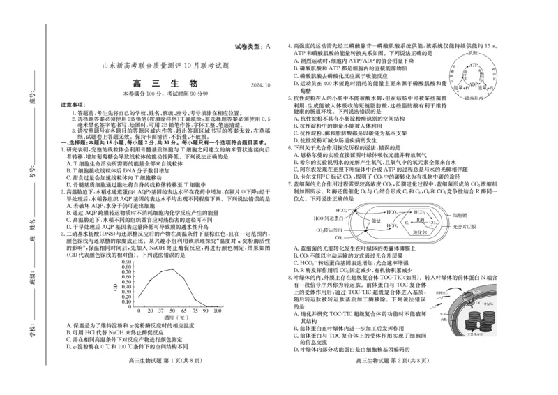 山东新高考联合质量测评高三10月联考试题生物试卷_2024-2025高三（6-6月题库）_2024年10月试卷_1012山东新高考联合质量测评高三10月联考试题
