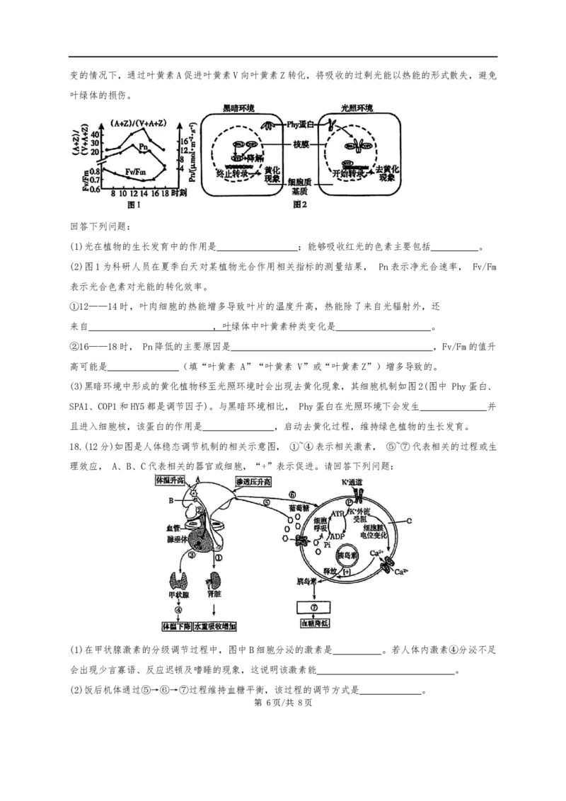 广东省汕头市潮阳区潮阳实验学校2025-2026学年高二上学期12月月考生物试题（含答案）_2024-2025高二（7-7月题库）_2026年1月高二